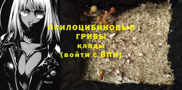 прущий лед Армянск
